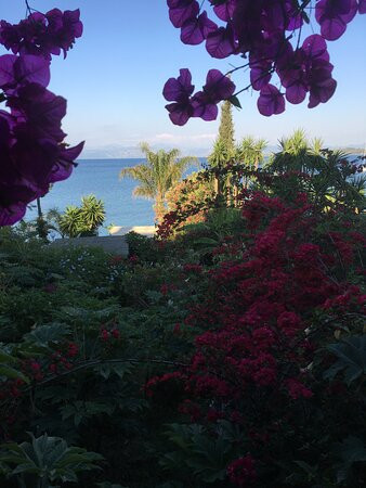 Panorama Notos主图