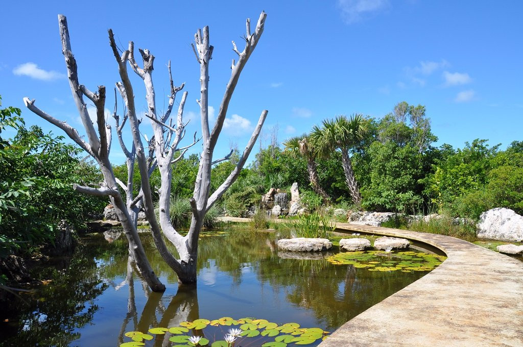 Leon Levy Native Plant Preserve景点图片