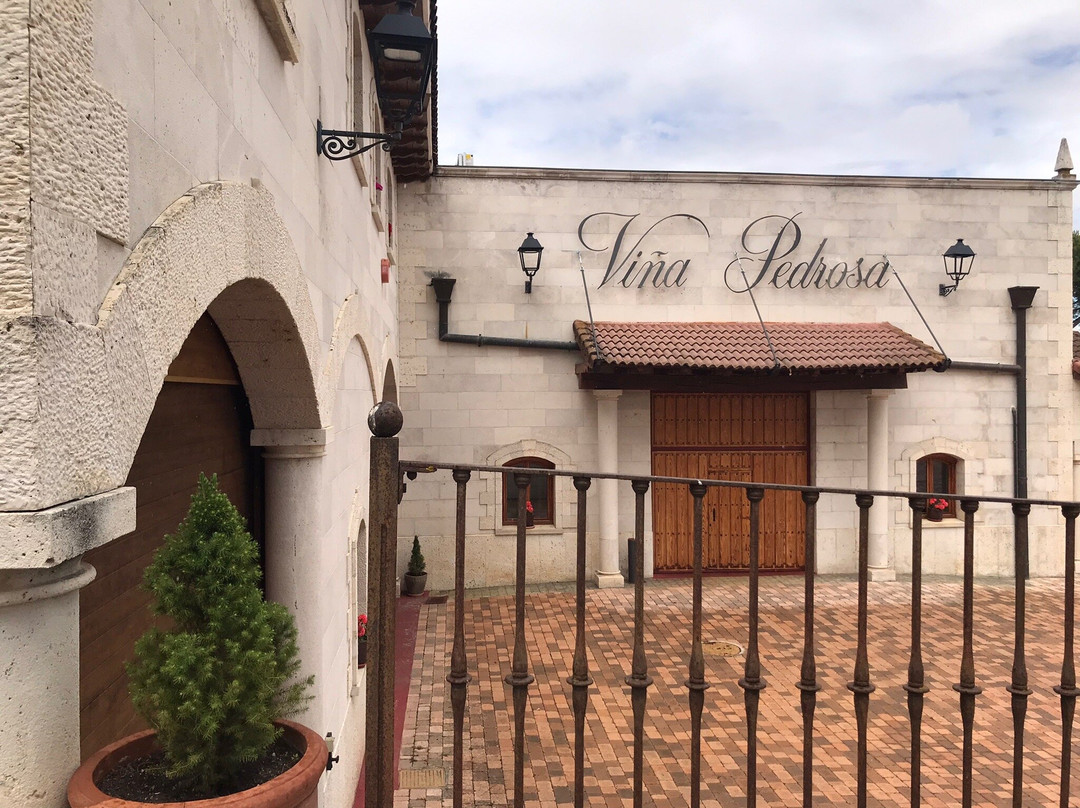 Bodegas Hermanos Perez Pascuas - Viña Pedrosa景点图片