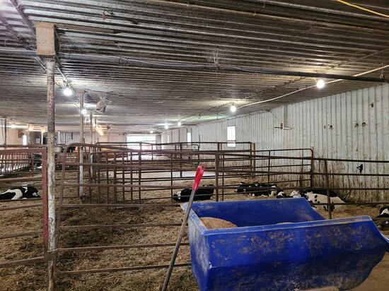 Mapleton's Organic Dairy景点图片