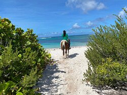 Francis Family Farm-Anegada必去景点