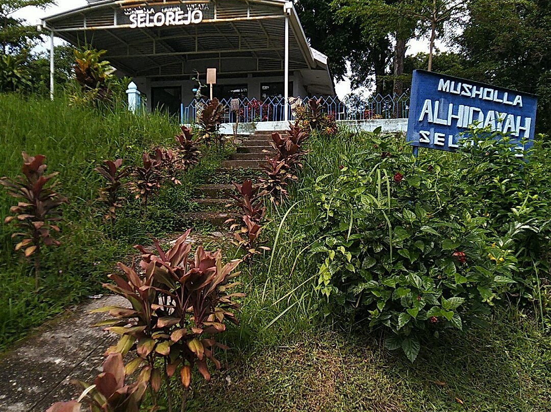 Taman Wisata Selorejo景点图片
