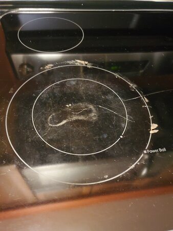 Residence Inn by Marriott Charlotte Lake Norman主图