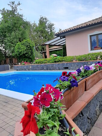 Poggiofelice Bed and Breakfast CIR: 19087055C103374-酒店景观