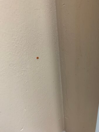 Extended Stay America Suites - St Louis - Fenton主图