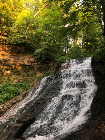 Standing Cedars State Natural Area-Osceola必去景点