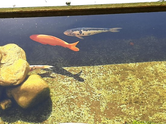 Pousada Vida Verde主图