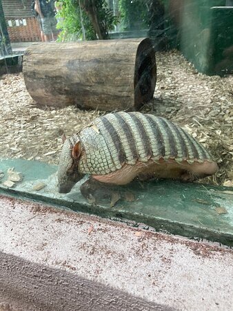 Zoo Olomouc-奥洛穆克必去景点