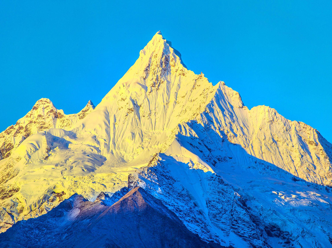 The Moose Is Inn主图