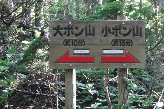 Mt. Pon-利尻富士町必去景点