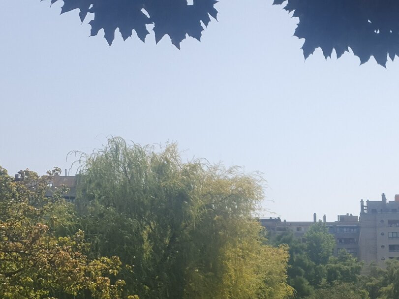 Parque de Yamaguchi-潘普洛纳必去景点