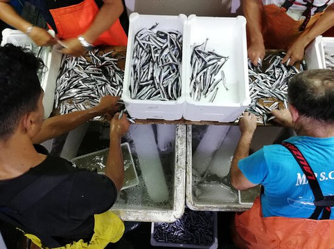 Procida Experience-普罗奇达必去景点