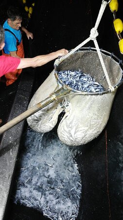 Procida Experience-普罗奇达必去景点