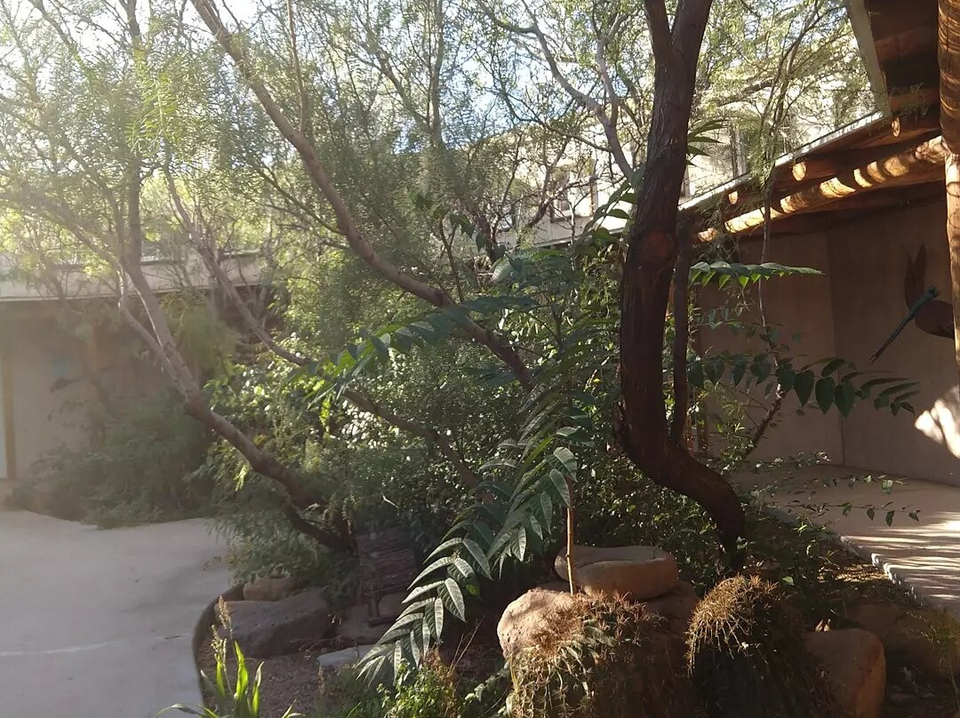 Faywood Hot Springs-Faywood必去景点