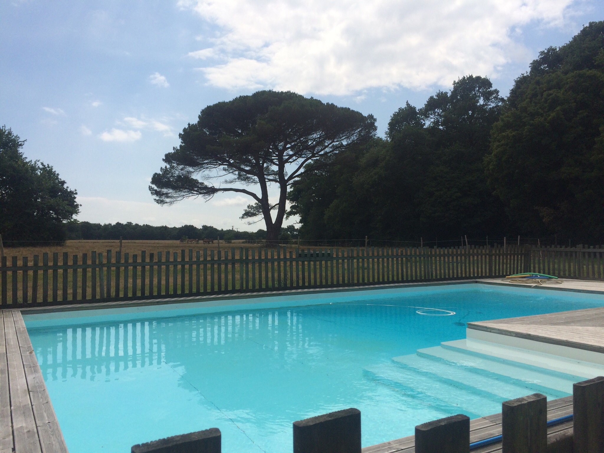 Chateau de la Rousseliere-官方