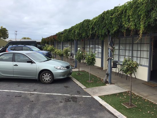 Guichen Bay Motel主图