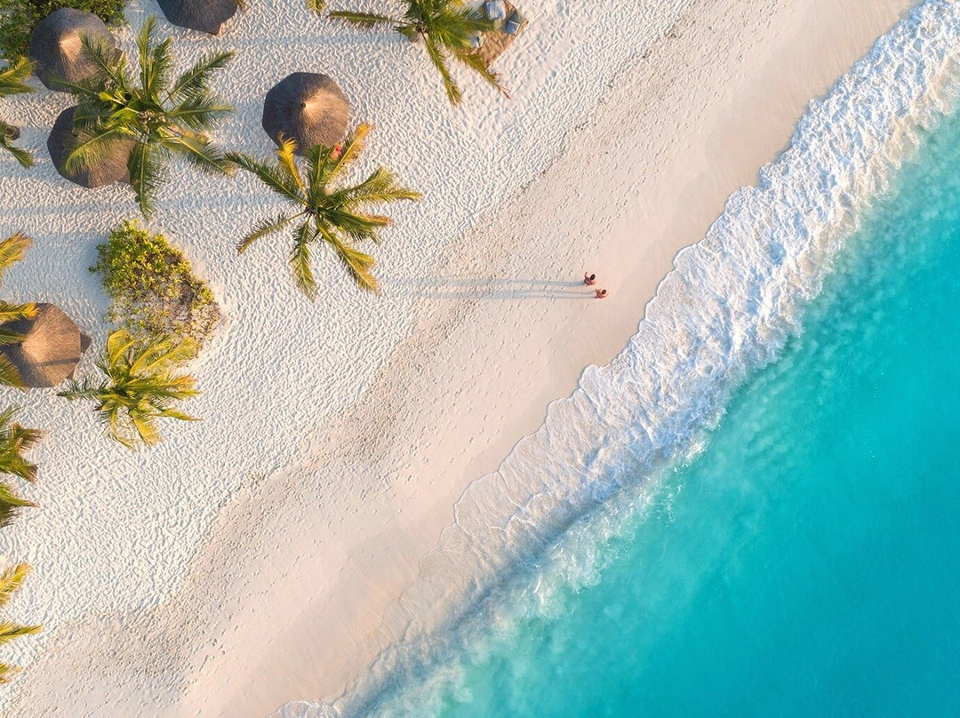 Green Zanzibar Tours & Safari Company Limited