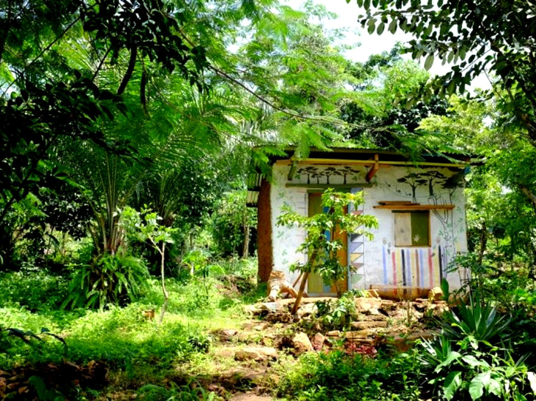 Fermes Et Village De Kpalimé Dzokoto景点图片