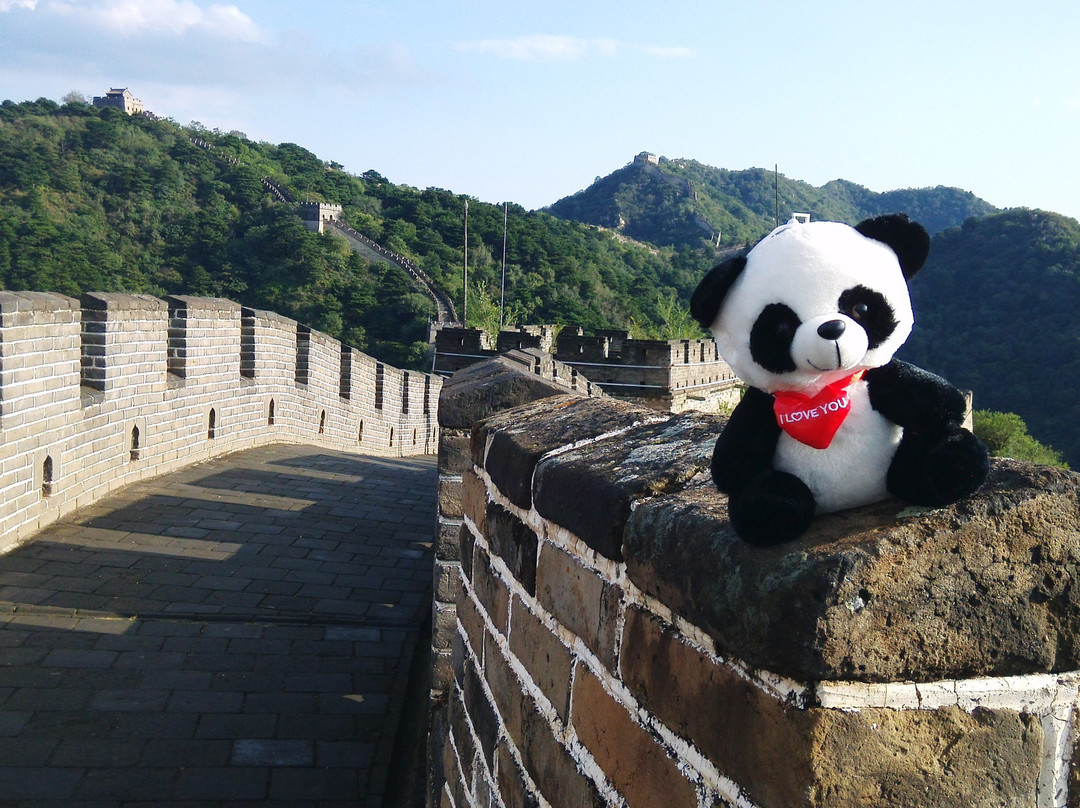 Mark’s Guide & Driver Service-北京市必去景点