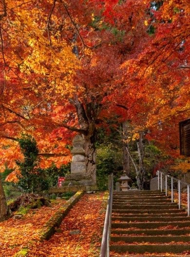 Kakufuzanchinzo-ji Temple-南阳市必去景点
