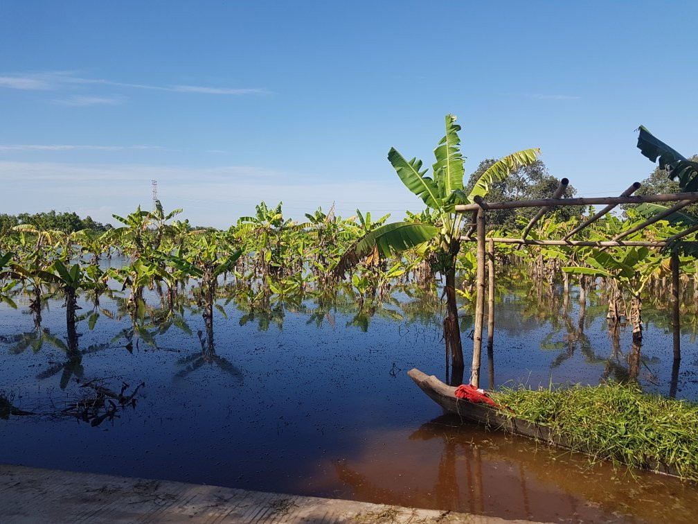 Koh Paen Island-磅湛必去景点
