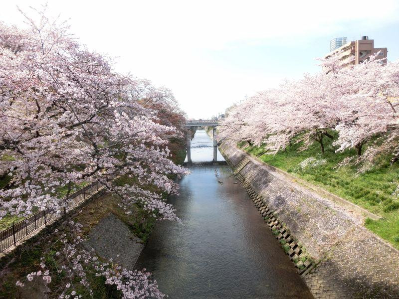 各务原市旅游攻略图片