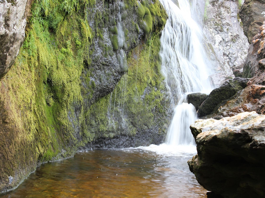 null-Enniskerry