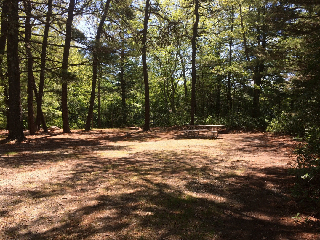 Hopeville Pond State Park-Griswold必去景点