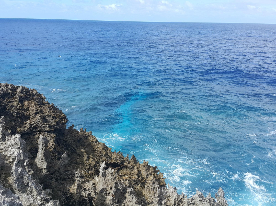 Hakupu旅游攻略图片