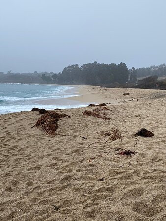 Monastery Beach-卡梅尔必去景点