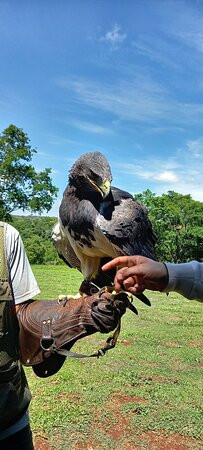 Foz Eco Park Zoo-伊瓜苏必去景点