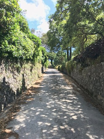 Quinta Colina Flora-浴室