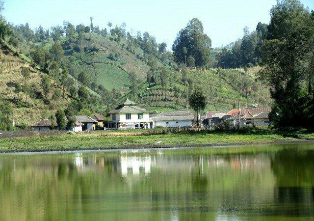 Lake Ranu Pane景点图片