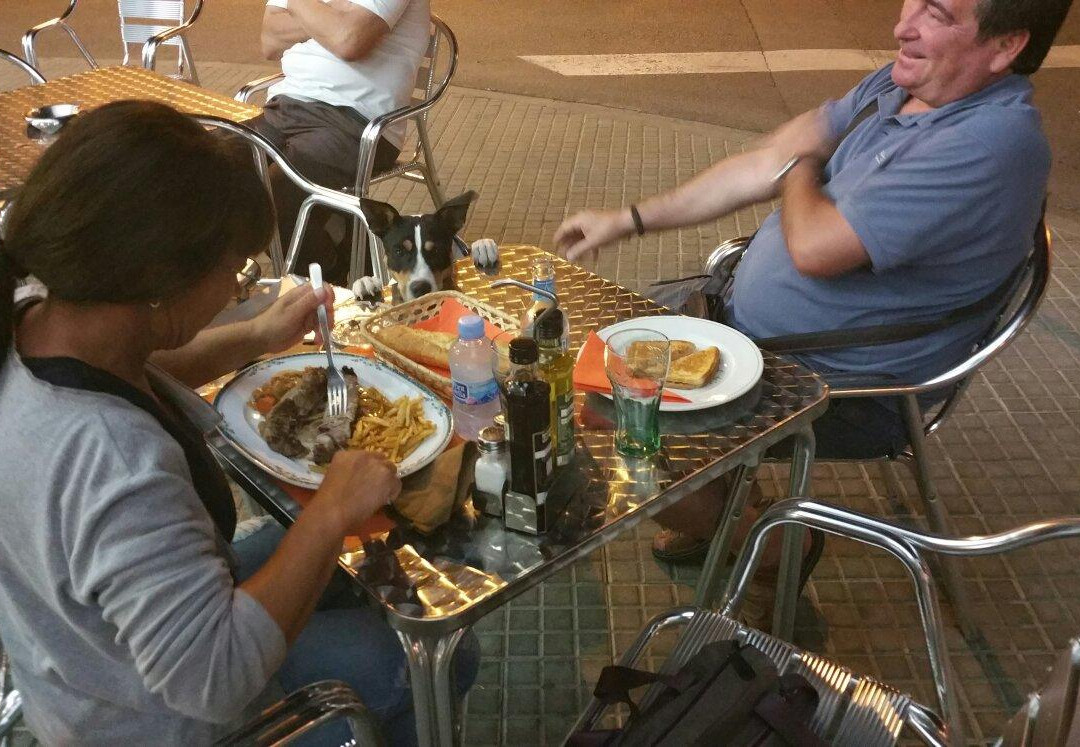 Llofriu餐馆和美食-La Vianda