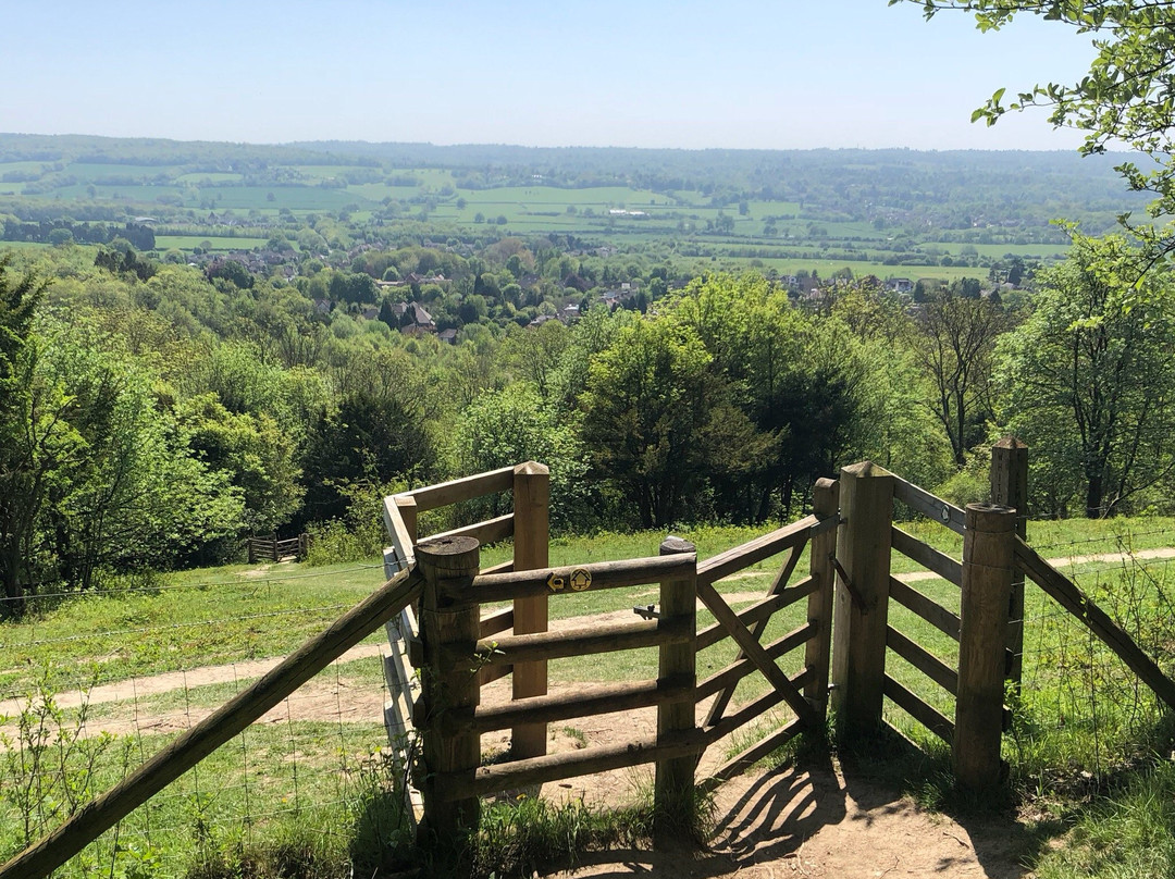 Kemsing Down Nature Reserve景点图片