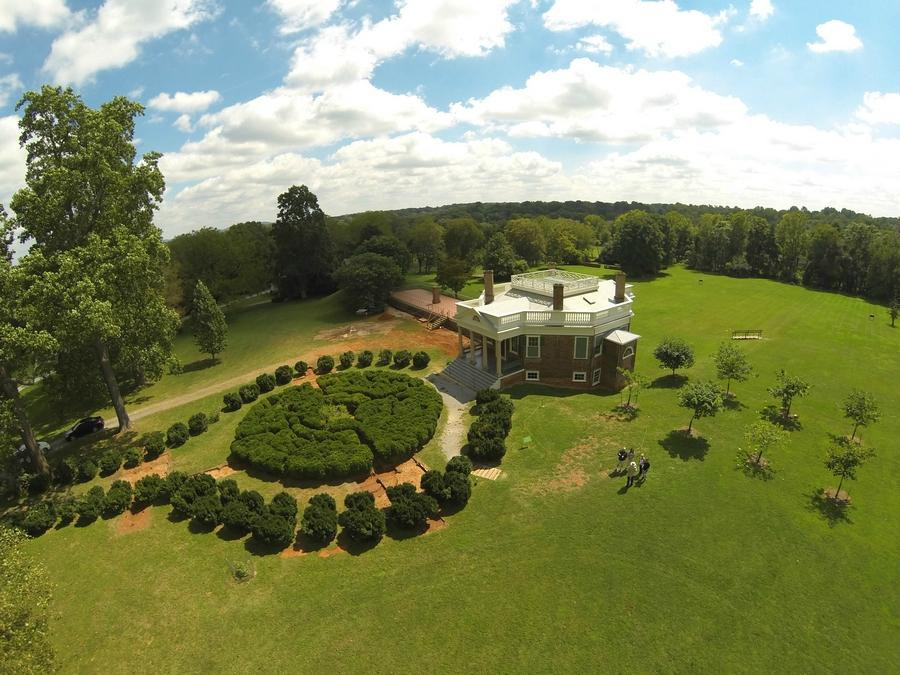 Forest旅游攻略图片