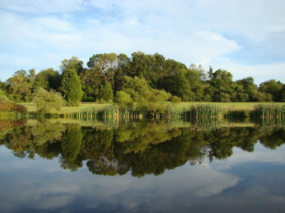 劳伦斯维尔旅游景点-Rosedale Park