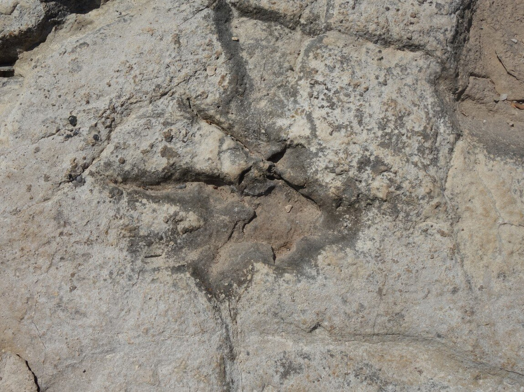 Dino Park, Brijuni National Park