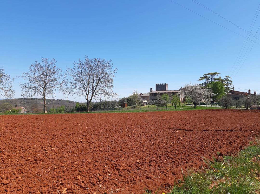 Via Francigena Tappa 33 Monteriggioni-Siena景点图片