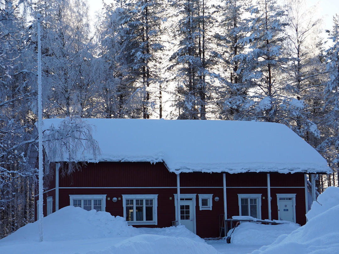Old Pine Husky Lodge