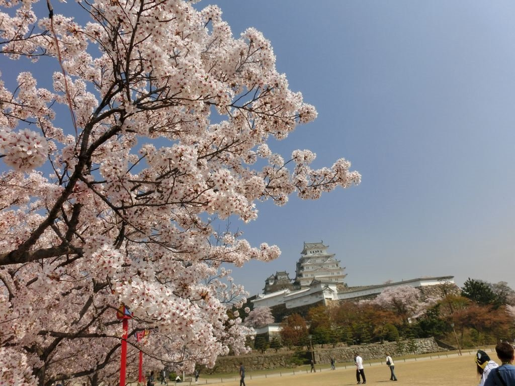 Himeji Park景点图片