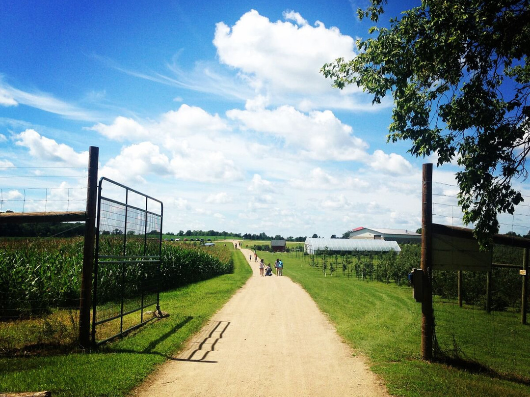 Country Blossom Farm, LLC景点图片