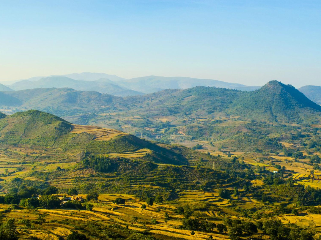 Araku Valley景点图片