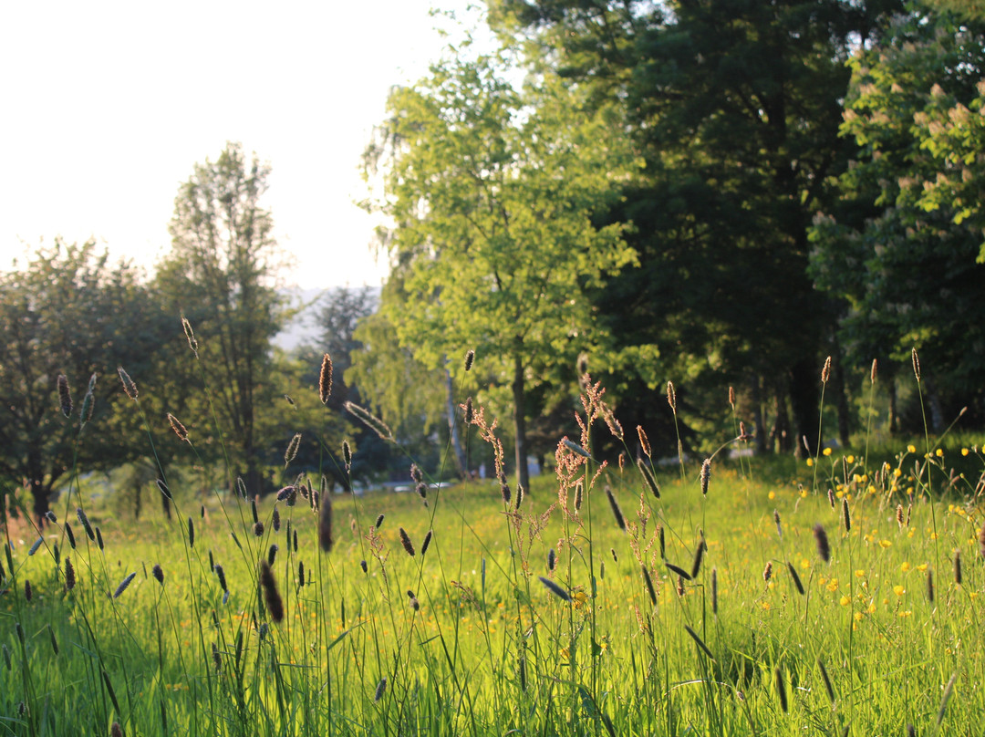 Arboretum de Lisieux景点图片