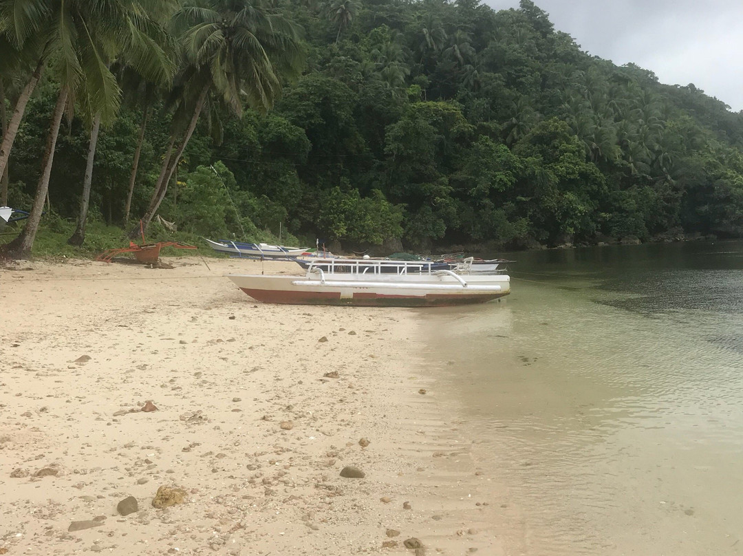 Stargazer Sailing Charters-长滩岛必去景点