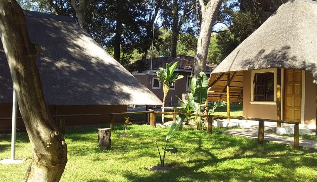 Galaxy Forest Lodge