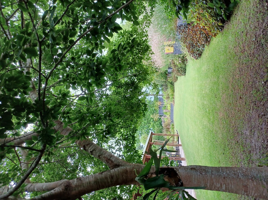 Peachslice Community