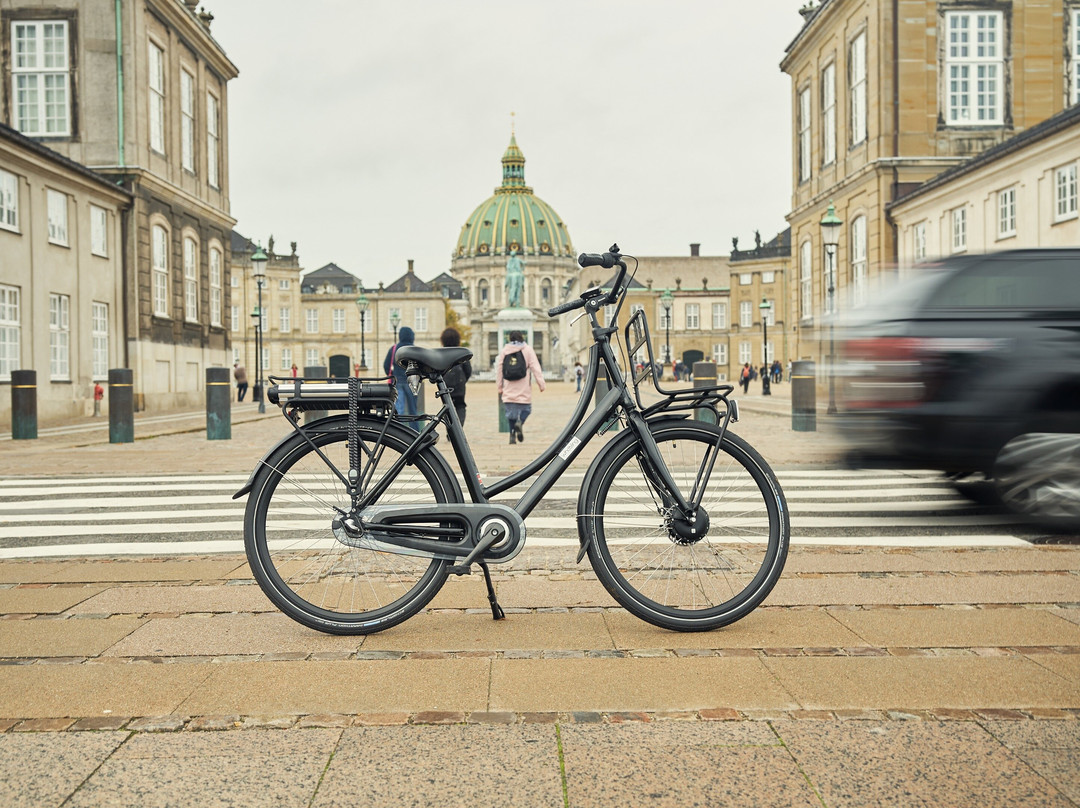 Copenhagen E-Bike Tours & Rentals-哥本哈根必去景点