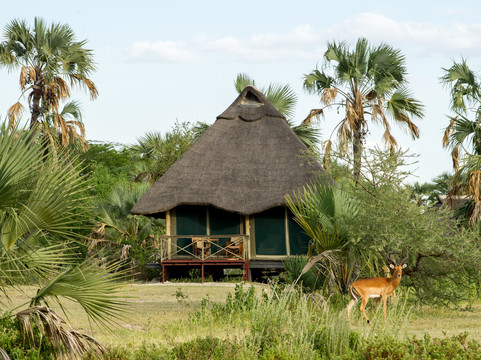 Maramboi Tented Lodge主图