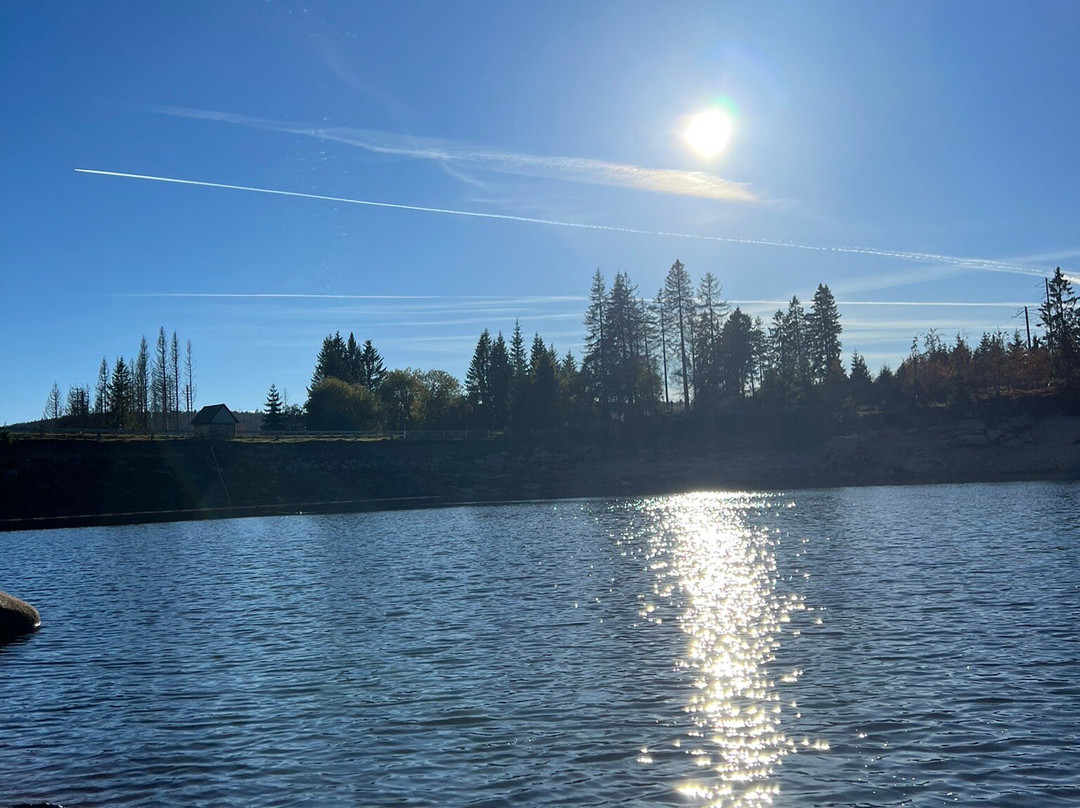 Oderteich